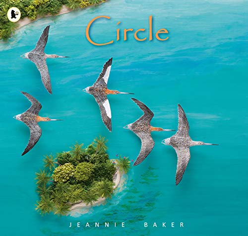 Book cover: “Circle” by Jeannie Baker, featuring birds and a tropical island.