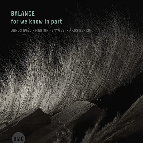 CD cover for "Balance" featuring a grayscale image of branches and rocks.