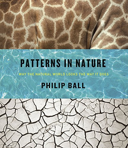 Book cover featuring giraffe spots, cracked earth, and blue water.