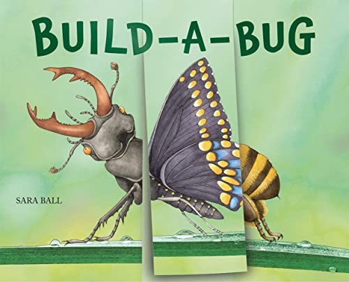 Children’s book cover featuring illustrated beetle and butterfly on green grass.