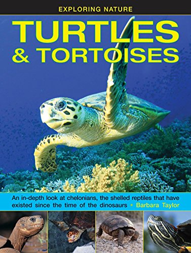 Book cover featuring a sea turtle swimming amongst coral reef.