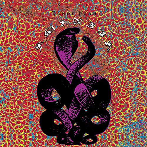 Album cover with a purple coiled snake against a colorful psychedelic pattern.
