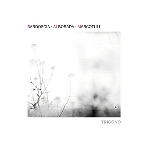 CD cover: black and white image of winter plants and blurred background.
