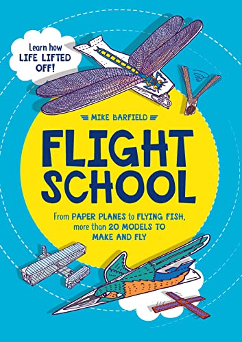 Book cover with illustrations of paper airplanes and a flying fish.