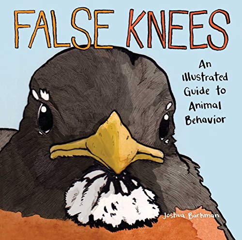 Book cover featuring a close-up illustration of a black bird against a blue background.