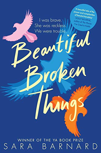 Book cover: "Beautiful Broken Things" with three colorful bird silhouettes.