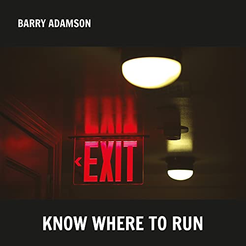 A glowing red exit sign and ceiling lights in a dark room.