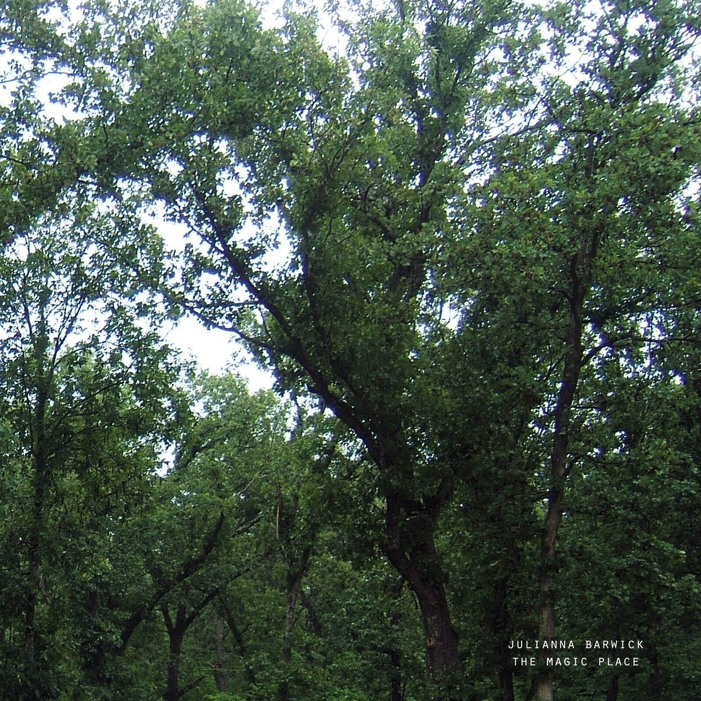 Album cover for Julianna Barwick’s “The Magic Place” featuring lush green trees.