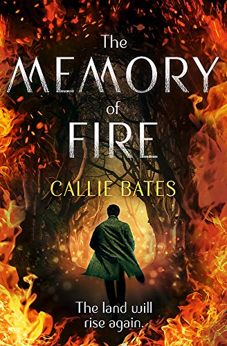 Book cover: figure in forest with fiery, dramatic background.