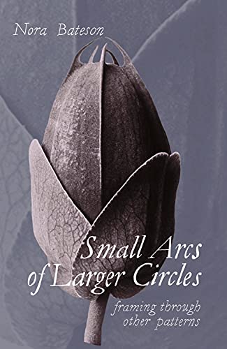 Book cover with geometric patterns and text, likely a design or architecture non-fiction title.