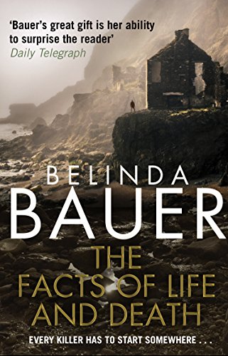 Book cover: desolate coastal landscape with a lone figure and text.