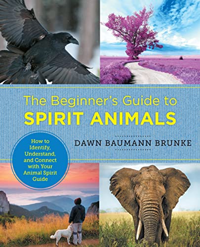 Book cover with raven, elephant, landscape, and person with dog.
