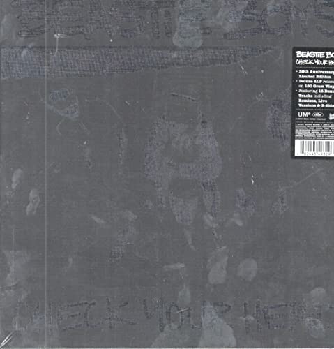 Beastie Boys “Check Your Head” vinyl record in a black sleeve.