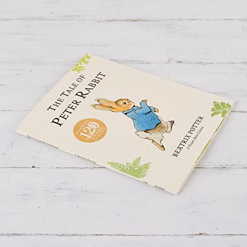 The Tale of Peter Rabbit" picture book, featuring a rabbit in blue.