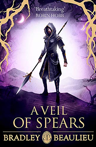 Fantasy book cover featuring a hooded figure holding a spear, purple and black tones.