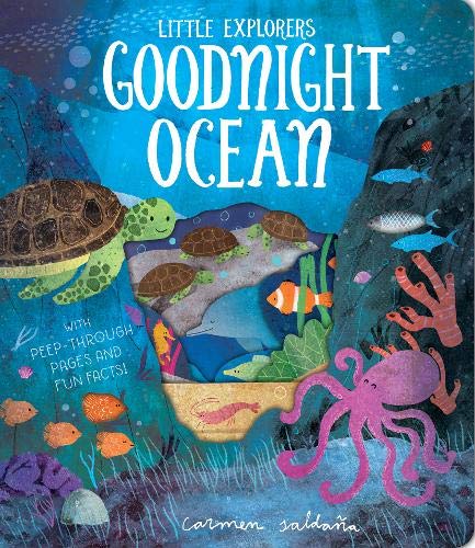 Book cover: "Goodnight Ocean" with turtles, octopus, and coral reef.