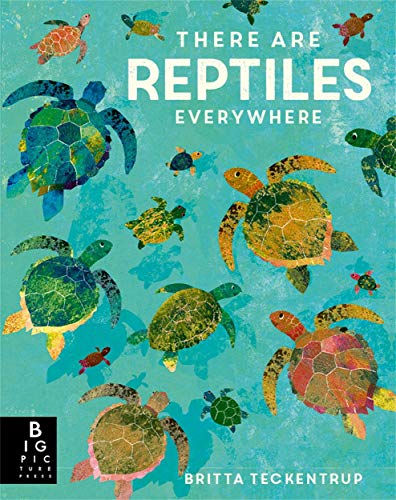 Book cover with many colorful sea turtles swimming on a textured teal background.
