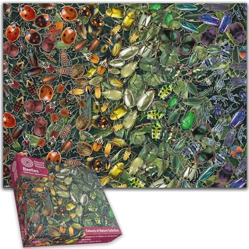 Completed 1000-piece jigsaw puzzle depicting a variety of colorful beetles.