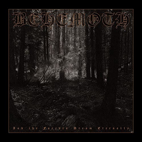 Black and white album cover featuring a dark, dense forest with gothic text.