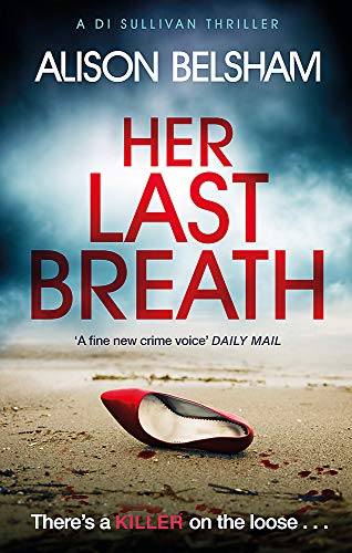 Book cover: red shoe on a beach with blood-like splatters.