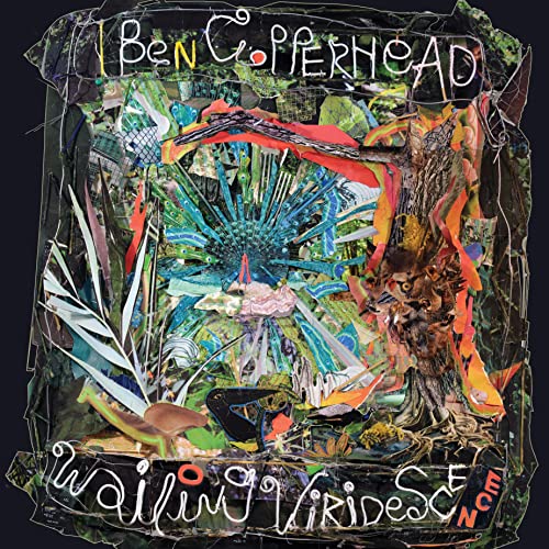 Album cover featuring a colorful, abstract collage of nature imagery with hand-drawn white text.