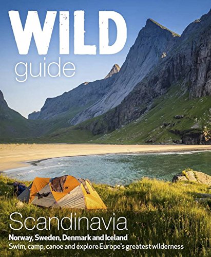 Book cover featuring a tent on a beach before mountains under a blue sky.