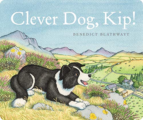 Book cover: black and white border collie in a rural landscape.