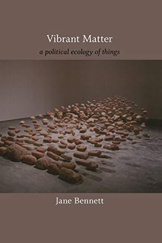 Book cover for Vibrant Matter by Jane Bennett showing many small stones on floor.