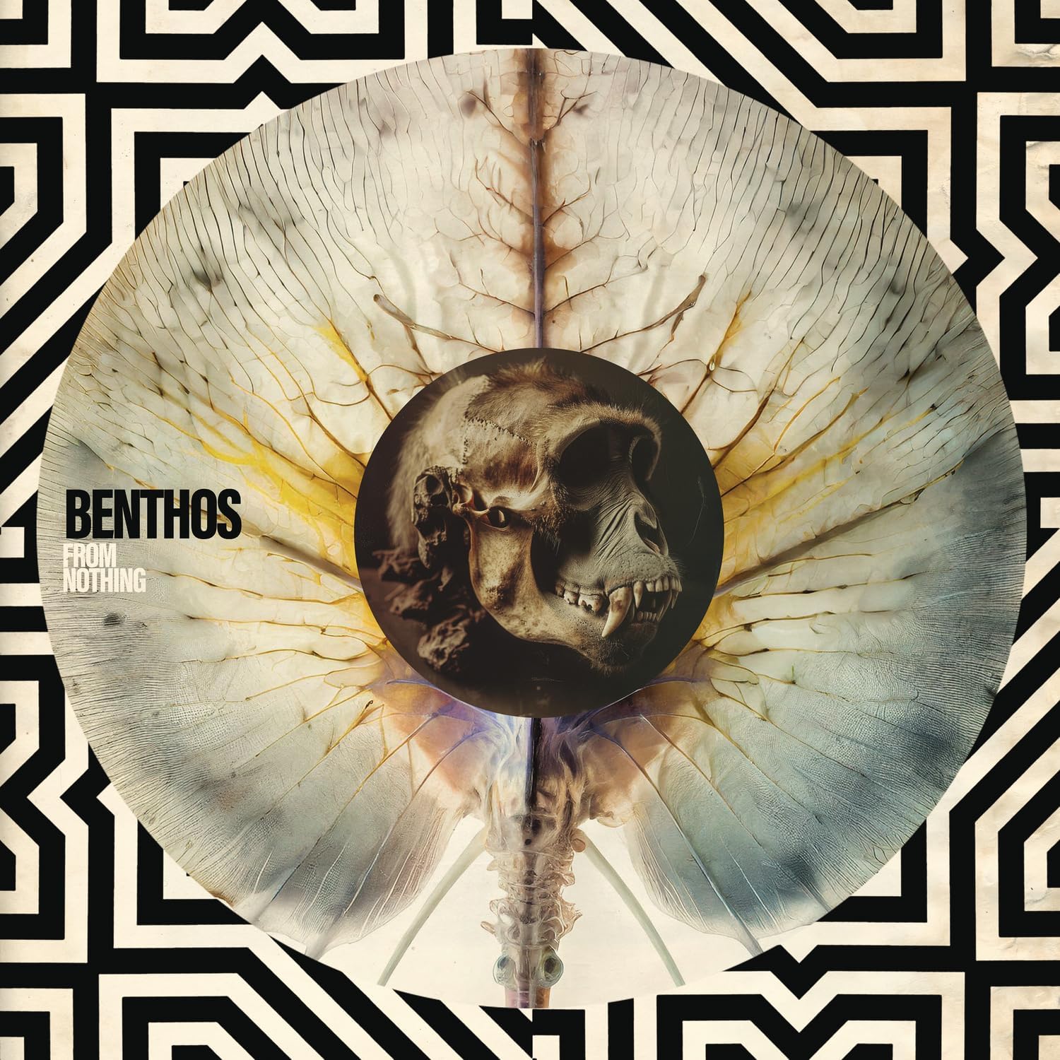 CD cover: gorilla skull with spine, abstract geometric and textured background.