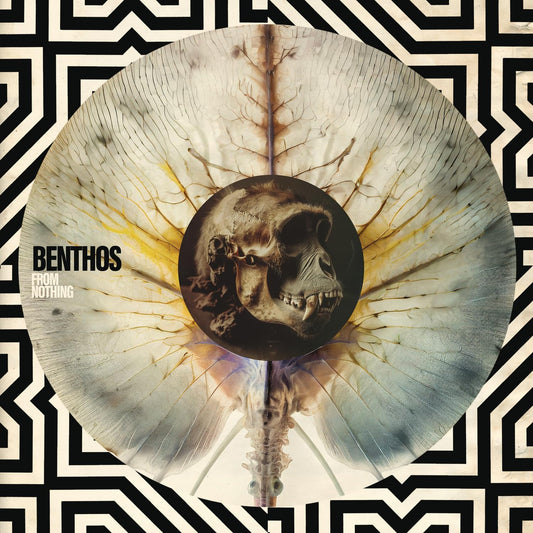 CD cover: gorilla skull with spine, abstract geometric and textured background.