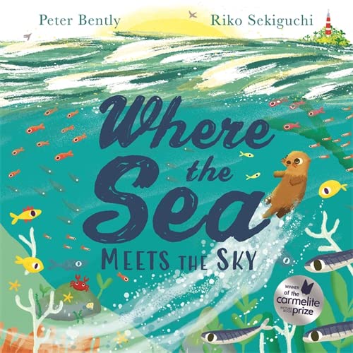 Book cover: teal ocean waves, a sea otter, and colorful fish.