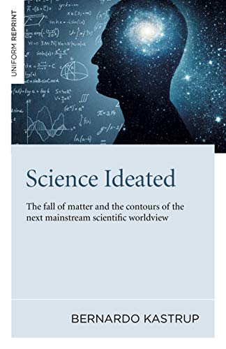Book cover: Silhouette of a head with a galaxy inside, equations.