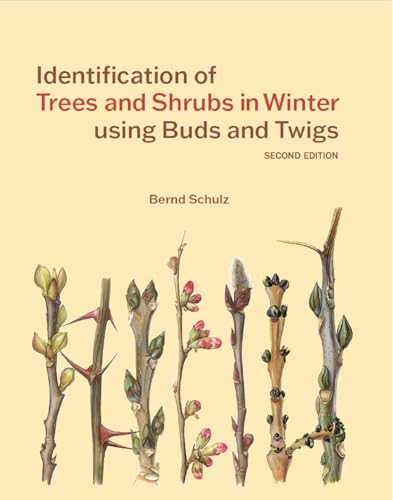 Book cover titled Identification of Trees and Shrubs in Winter featuring botanical twig illustrations.