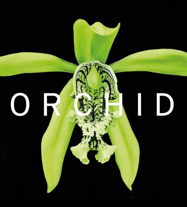 Close-up of a green and white orchid with the word "ORCHID" overlaid.