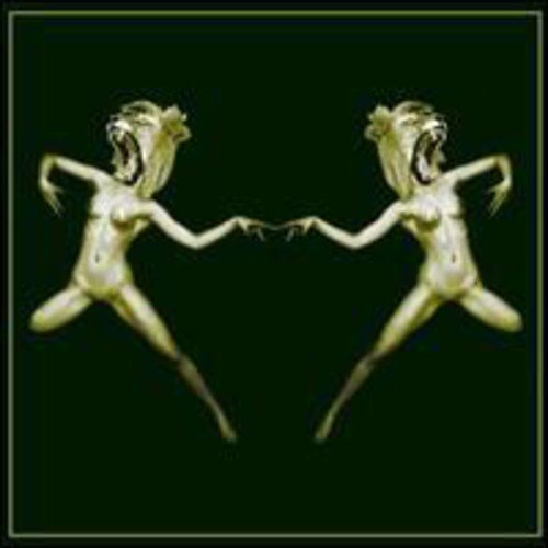 Two mirrored figures with human bodies and lion heads against a dark background.