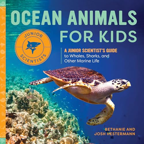 Book cover featuring a sea turtle swimming over a coral reef.
