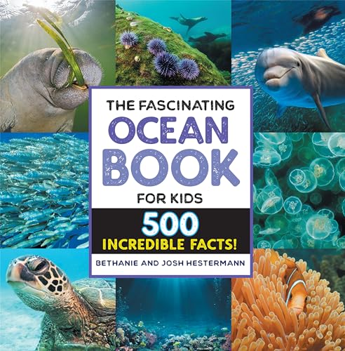 Book cover with ocean animals: walrus, dolphin, jellyfish, turtle, and fish.