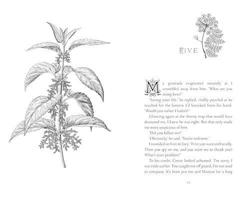 Detailed botanical illustration of a nettle plant alongside book text.
