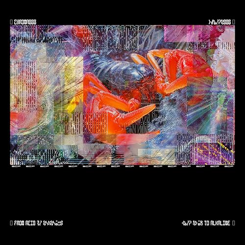 Abstract, glitch art album cover featuring a red lobster and distorted colors.