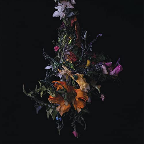 Hanging, decaying floral arrangement against a dark background.