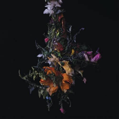A cluster of dark, decaying flowers and foliage isolated against a solid black background.