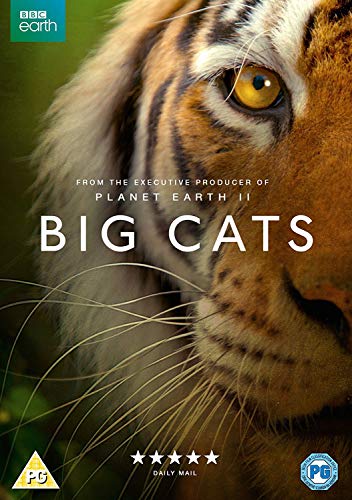 DVD cover featuring a close-up of a tiger’s face, titled “Big Cats”.