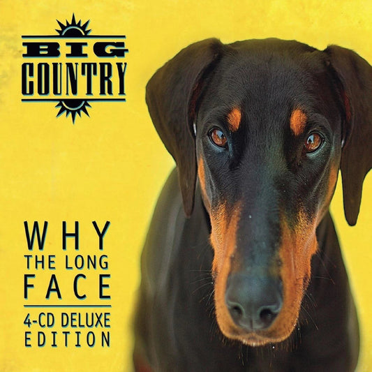 Album cover for Big Country’s “Why the Long Face” featuring a dog.