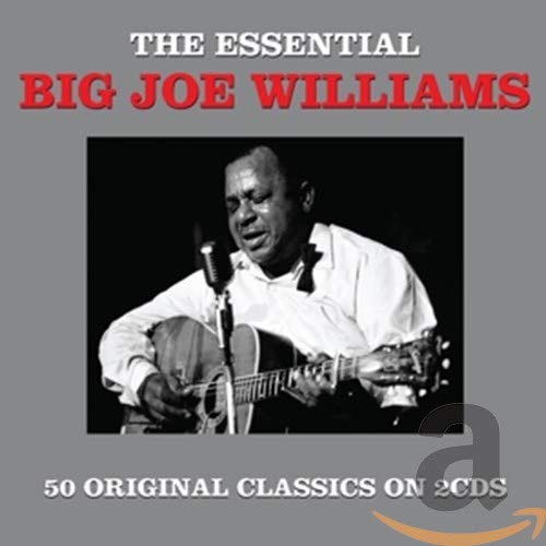 Black and white portrait of blues musician Big Joe Williams playing guitar.