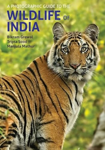 Book cover featuring a close-up of a Bengal tiger’s face.