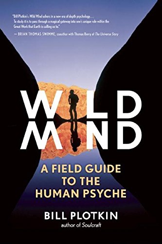 Book cover: "Wild Mind," featuring a silhouetted figure in a landscape.