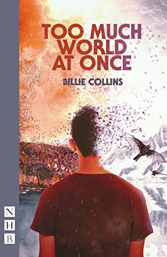Book cover: boy with birds flying around him, dramatic sky.