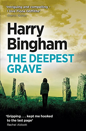 Book cover showing a person standing before ancient standing stones against a cloudy sky.
