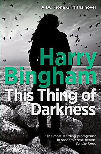 Book cover featuring a woman's silhouette against a grey sky with flying birds.