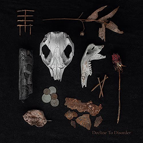 Skull, dried plants, and rusted metal arranged on a dark background.